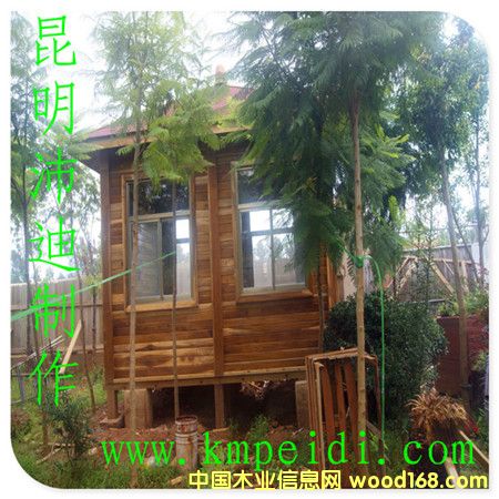 ��z��ľ�ݵ�Ԕ����B