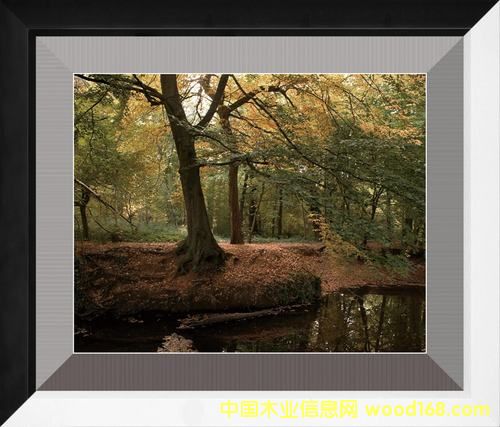 �o��ϵ�е�Ԕ��(x��)��B