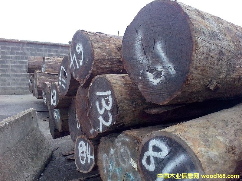 ���_�TŮ����̴��Ԕ����B