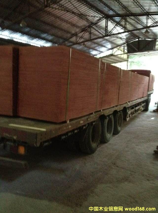 ����ģ���Ԕ����B