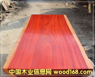 �t����178*82��Ԕ����B