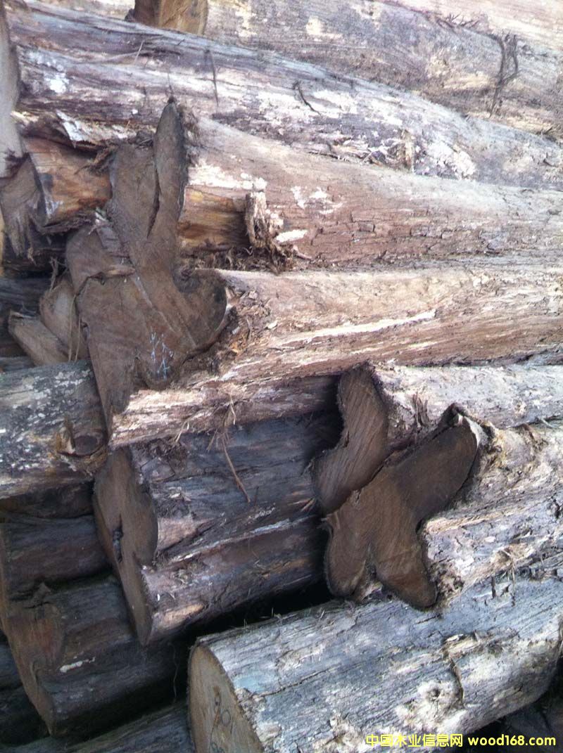 ��˹�_���������ľԭľ��Ԕ����B