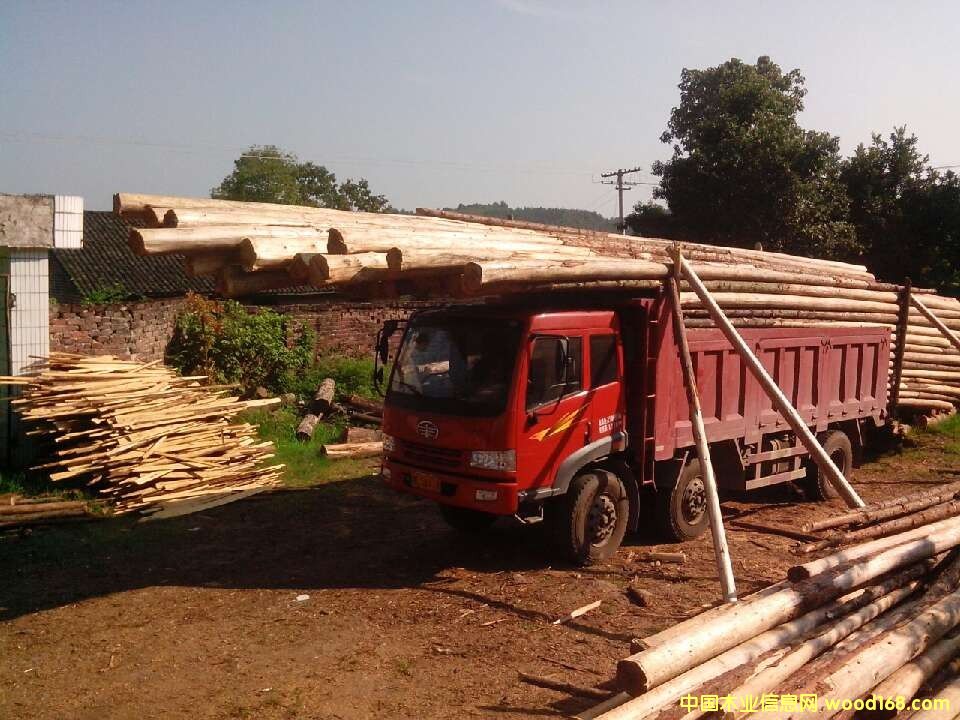 ɼ���Ԕ����B