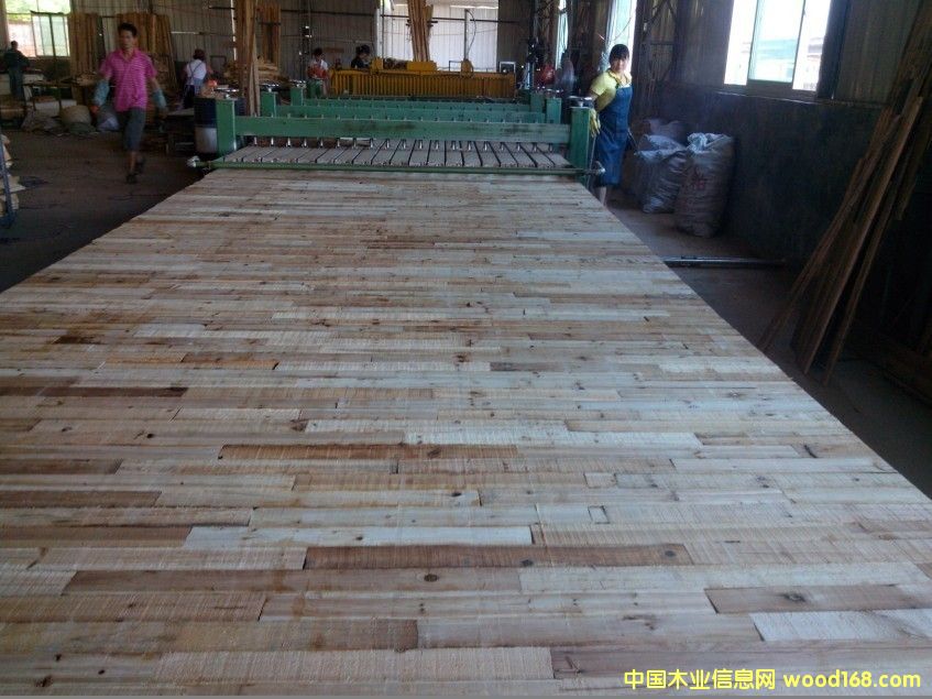 ���B(t��i)���о����(x��)ľ�����о