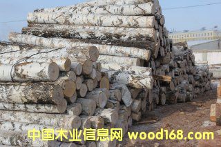 ��ľ��Ԕ��(x��)��B