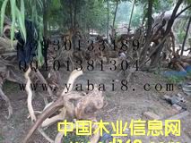 �°� ��Ԕ����B