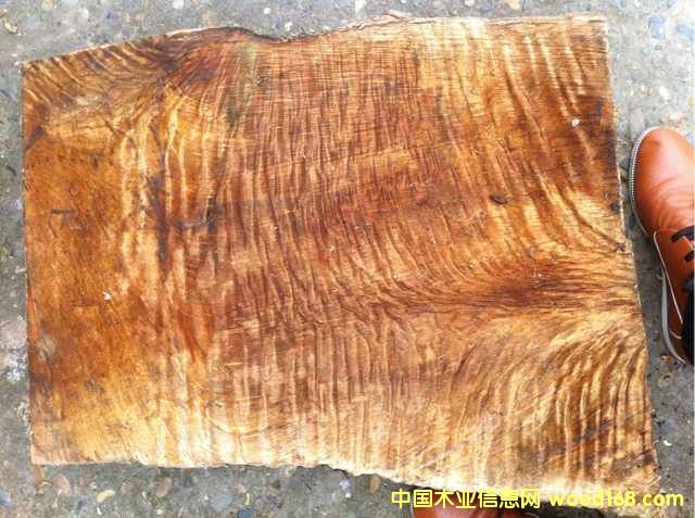 ��Ʒ�M�����^��