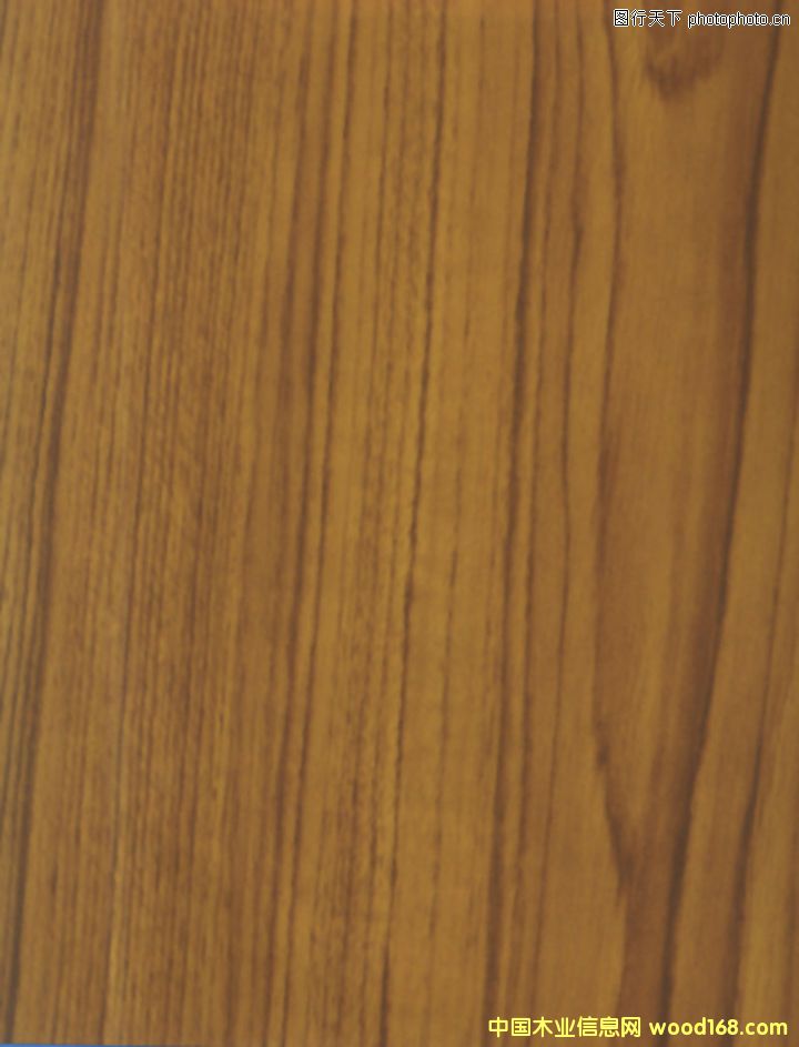 ��ľ��Ԕ����B