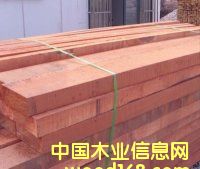 ɽ��ľ��Ԕ����B