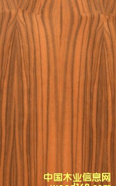 ��̴��Ԕ����B