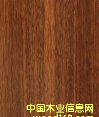 �����¼�