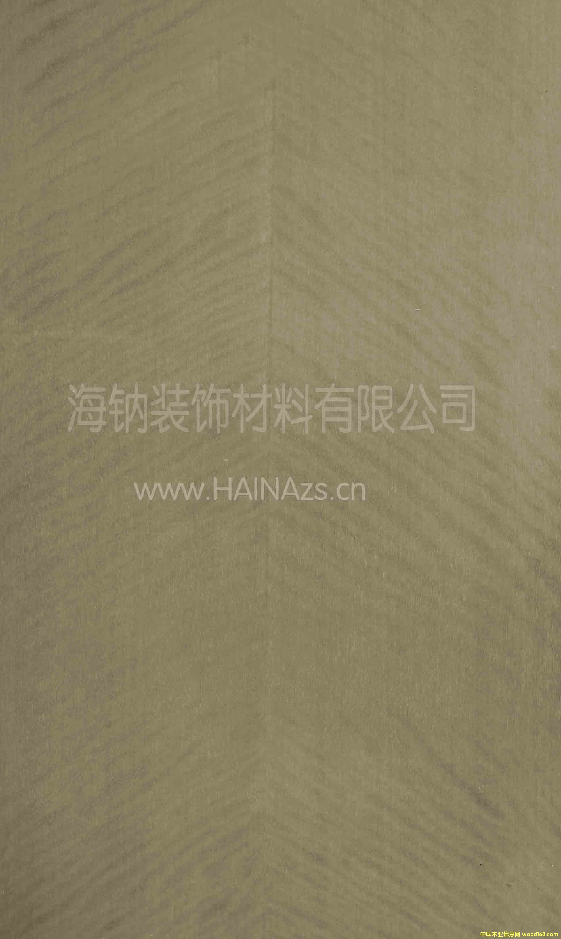 ���Ź�Ӱ��Ԕ����B