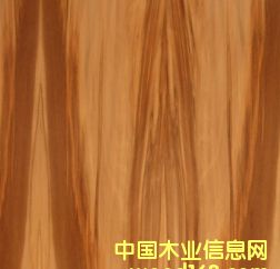 ɳ������