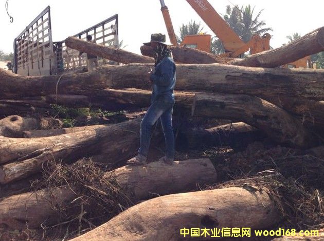 �ϓ뻨���Ԕ����B