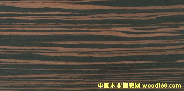 ��̴6DS��Ԕ����B