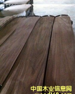 �ں��� ��Ԕ����B