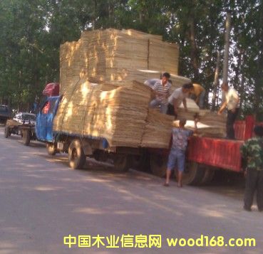 ��Ƥ�b܇��Ԕ����B