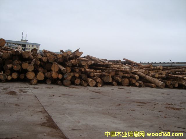 �uľ��Ԕ����B