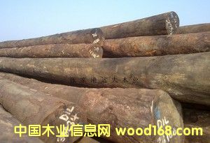 �M�ڵڂ��� ԭľ