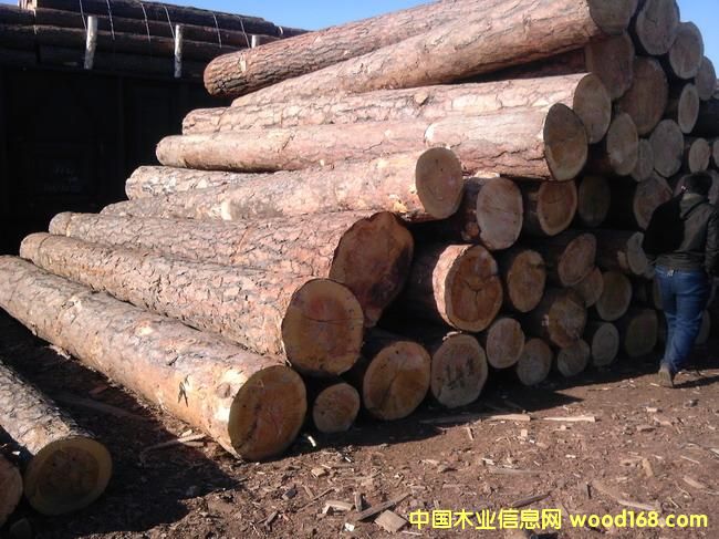 �|����������������ɵ�Ԕ����B