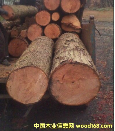 �t��ԭľ��Ԕ����B