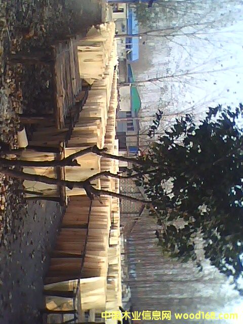 ��ľľƤ�A�ĵ�Ԕ����B