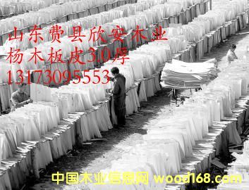 ��ľ��Ƥ��Ԕ����B