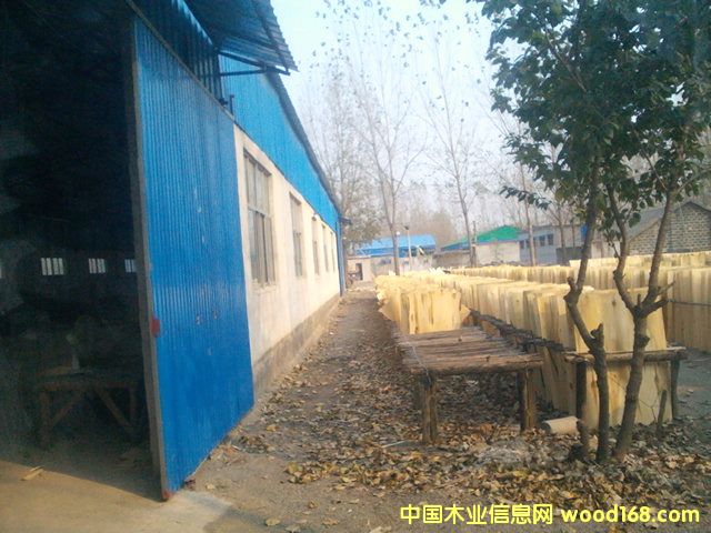 ��ľ�AоƤ��Ԕ����B