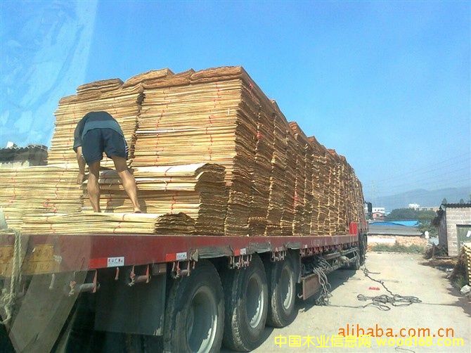 һ�����Ԕ����B