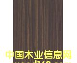 ����˹�N����Ԕ��(x��)��B