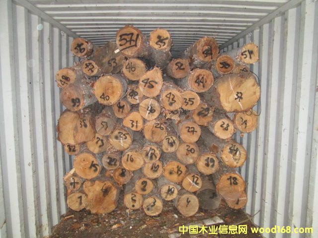 �ט�ԭľ��Ԕ����B