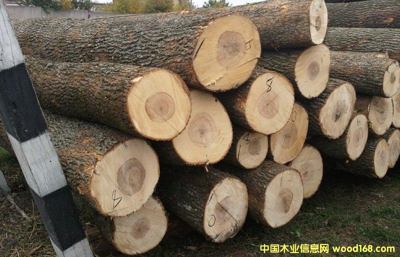 ��ľԭľ��Ԕ����B