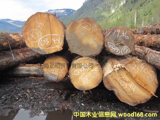 ��ɼ��Ԕ��(x��)��B