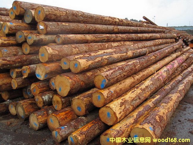 �Fɼ��Ԕ��(x��)��B