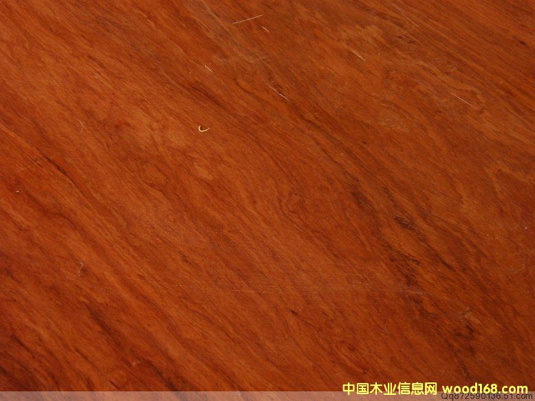 ��̖ 84-21��Ԕ����B