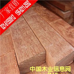 ���}���Ԕ����B