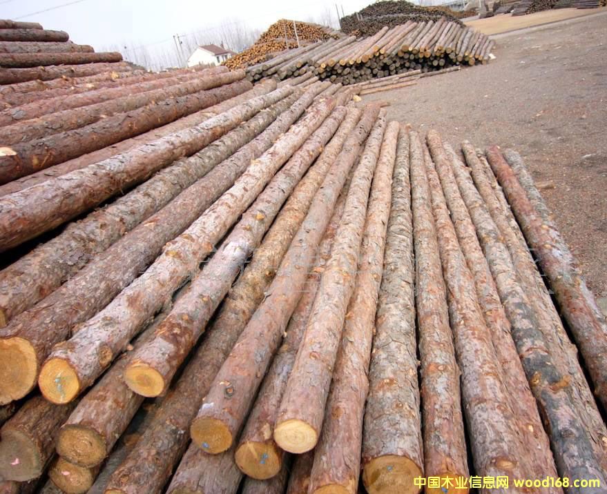 ɼľ��Ԕ����B