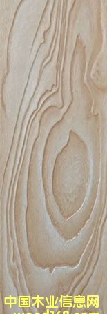 ɭ�����ذ��Ԕ����B