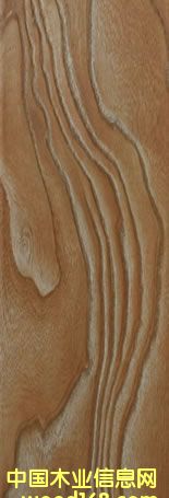 ɭ�����ذ��Ԕ����B