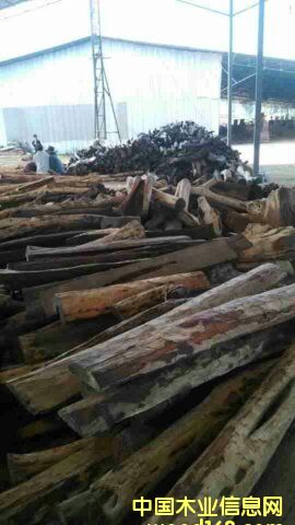 ��ֺ�S̴��2��Ԕ����B