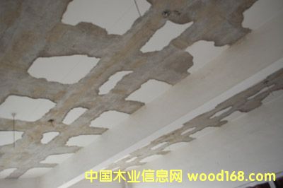 �c(di��n)���鿴̼�w�S���Ŵ�DƬ