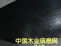 �c���鿴̼�w�S����Ԕ���Y��