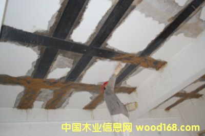 �c���鿴̼�w�S����Ԕ���Y��