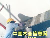 �c(di��n)���鿴̼�w�S���Ŵ�DƬ