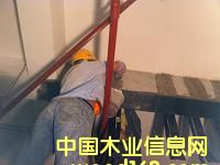 �c(di��n)���鿴̼�w�S���Ŵ�DƬ