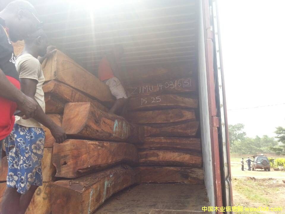 �����̴��Ԕ����B