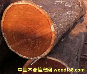 ���}��ԭľ��Ԕ����B