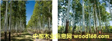 õ��ľ��Ԕ����B