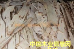 �c���鿴ľƤľ�Së�^�Ŵ�DƬ