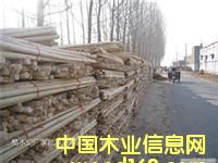 �c���鿴ľƤľ�Së�^�Ŵ�DƬ